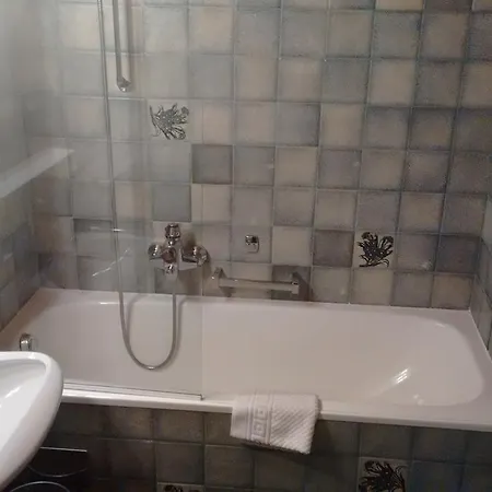 Отель Bergfriede 3*