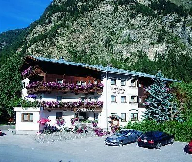 Отель Bergfriede 3*