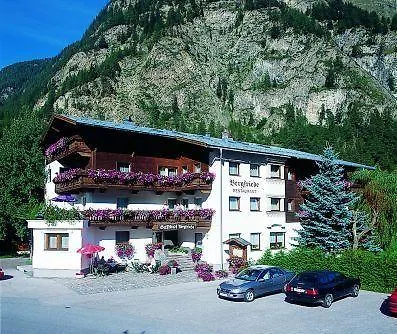 Hotel Bergfriede 3*